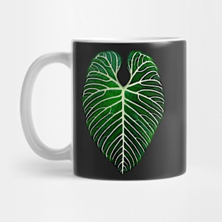 ANTHURIUM REGALE Mug